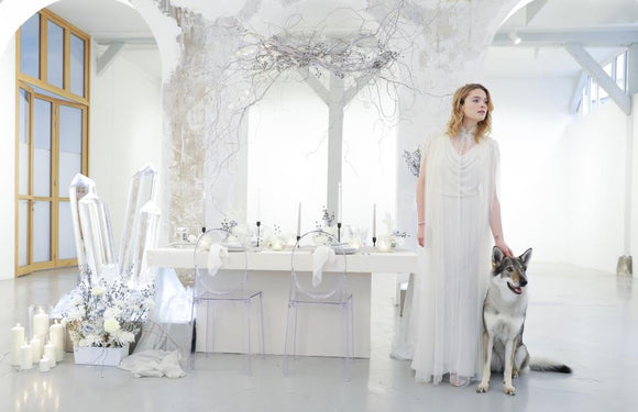 Shooting "Hiver Glacial"  - Session Wedding Designer Paris