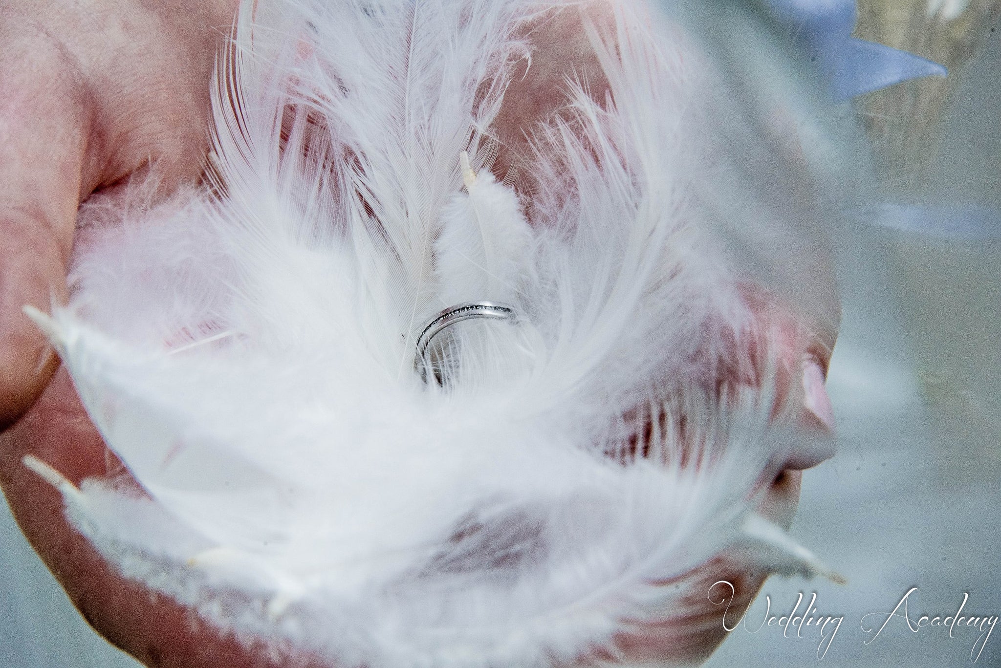 Shooting d'inspiration Le Lac des Cygnes- Promotion Wedding Planner
